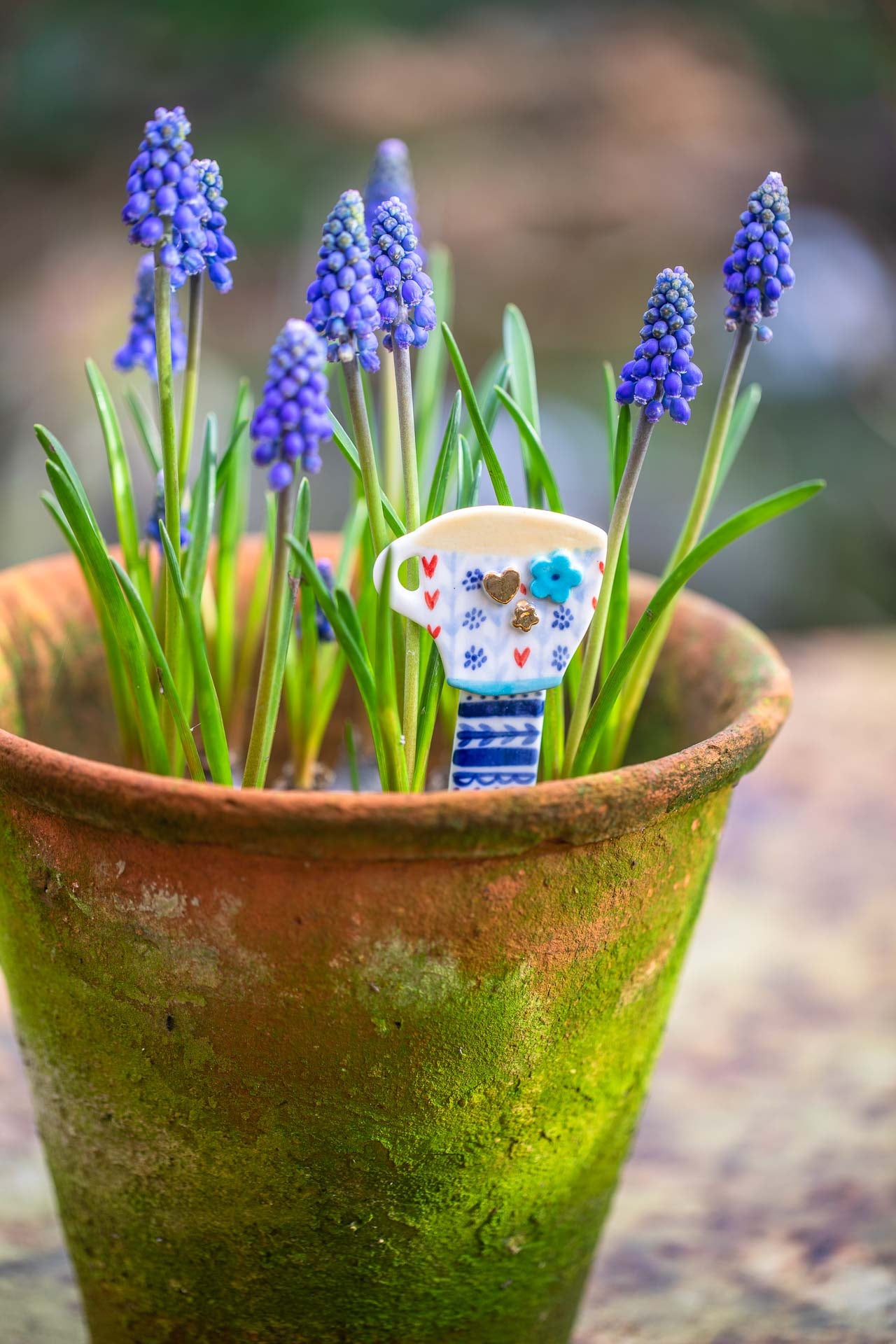Plant pot markers/friends
