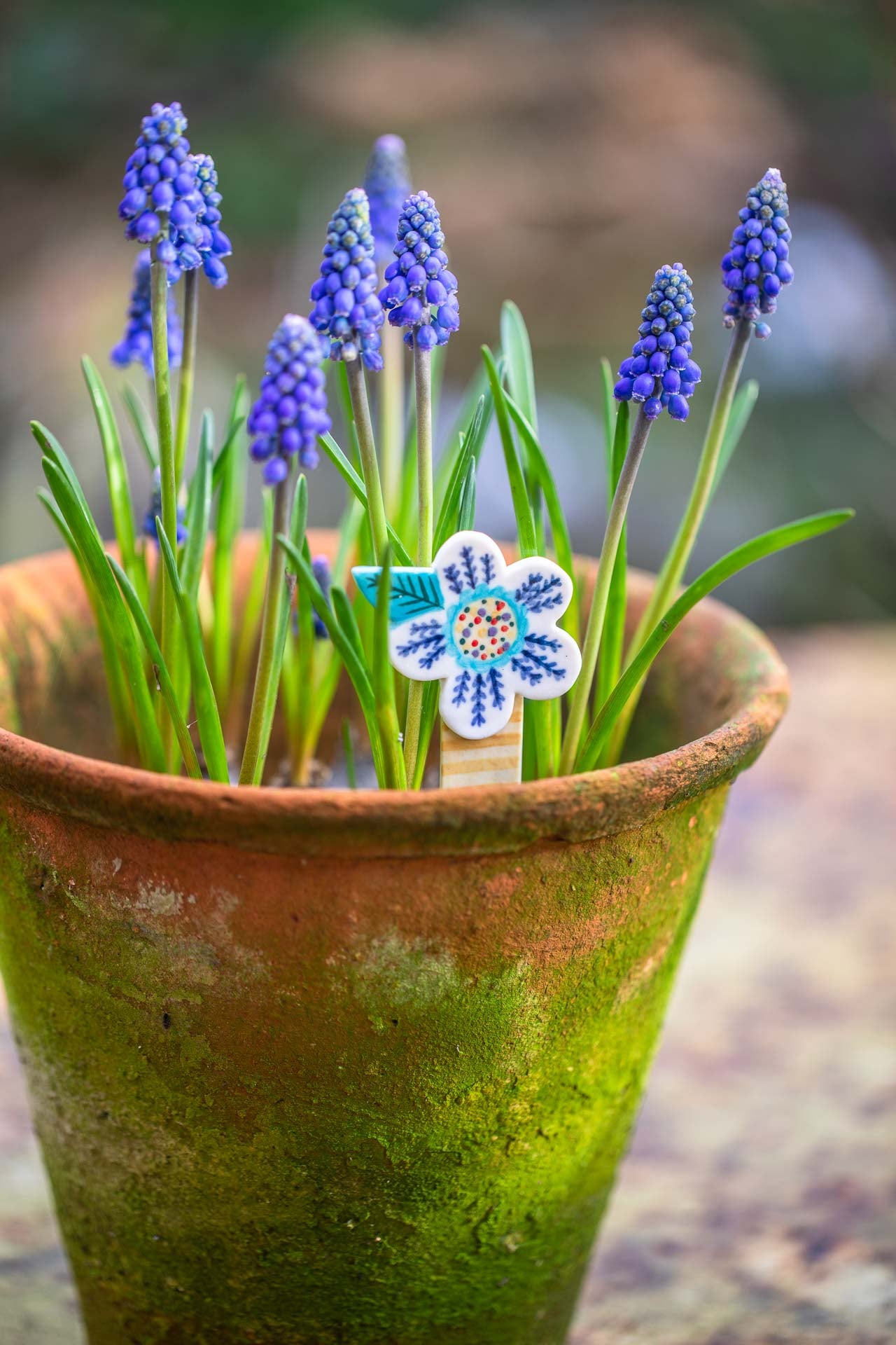Plant pot markers/friends