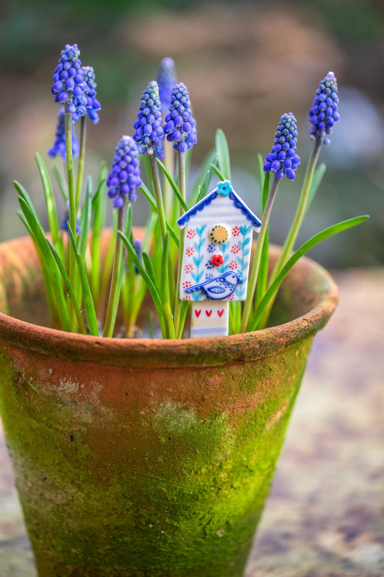 Plant pot markers/friends
