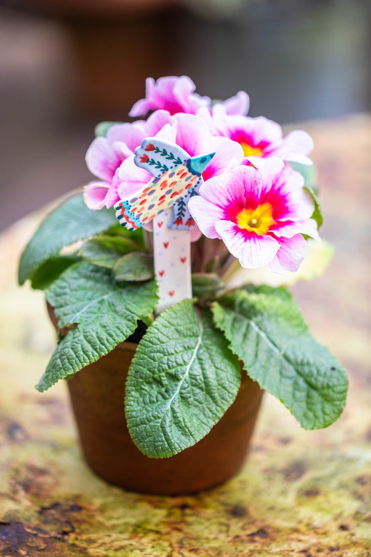 Plant pot markers/friends