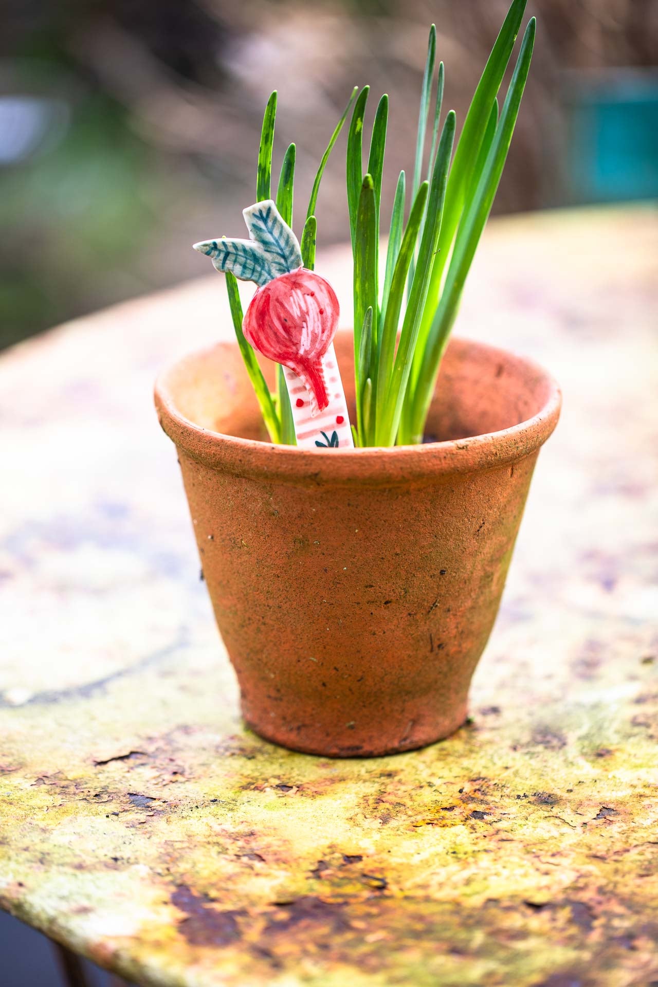 Plant pot markers/friends