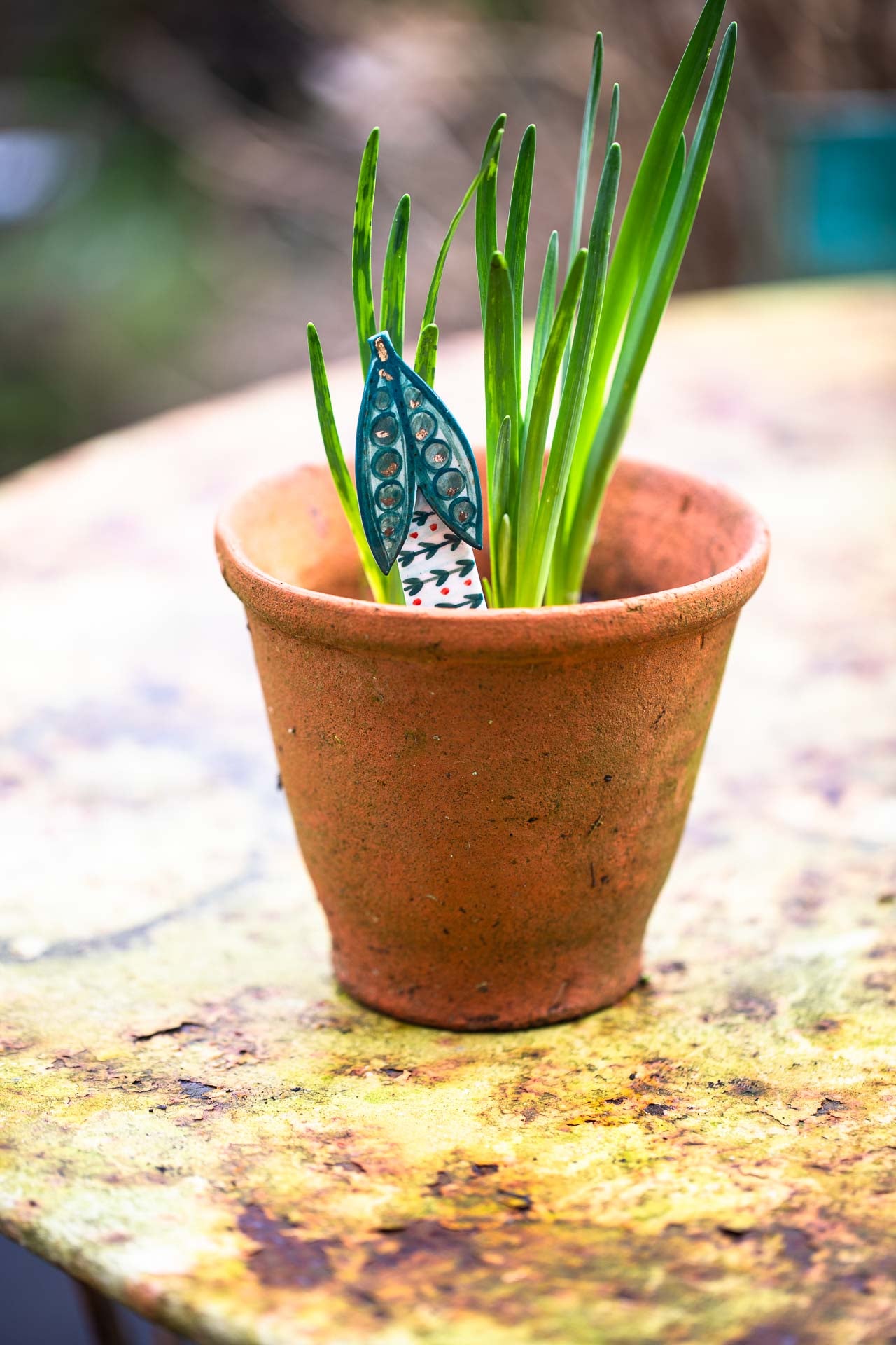 Plant pot markers/friends