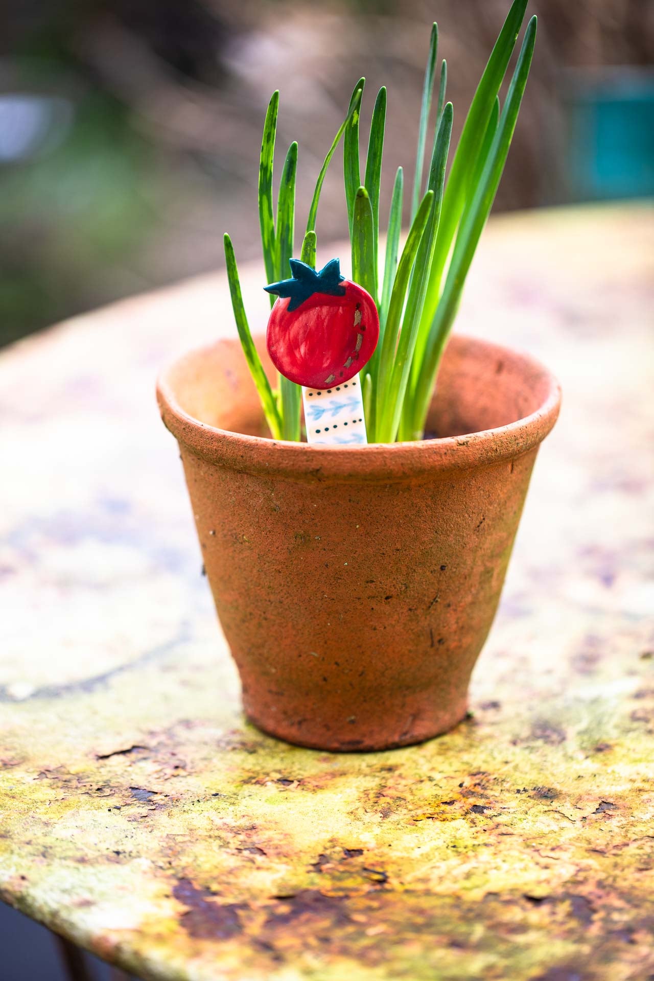 Plant pot markers/friends